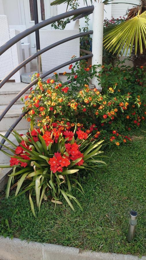 Apartments Tulipan - With Free Private Parking Garage โมสตาร์ ภายนอก รูปภาพ
